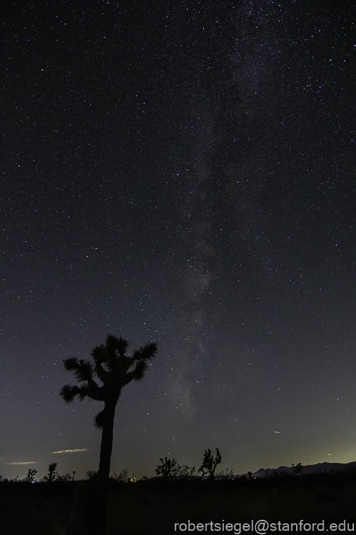 Desert Biogeography of Joshua Tree National Park